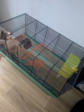Large hamster cage for sale  GILLINGHAM