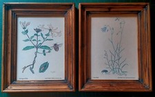 Pair vintage framed for sale  HORSHAM