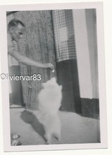 Vintage photo bad d'occasion Vintage photo bad d'occasion  Toulon-