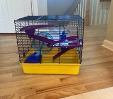 Levels chinchilla guinea for sale  Highland Park