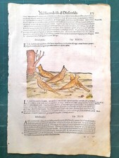 Mattioli matthioli erbario usato  Lecco