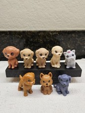 mixed pups for sale mixed pups for sale Spring Branch