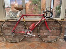 Raleigh team sbdu for sale  SWADLINCOTE
