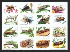 Insects rare complete for sale  BRIDPORT