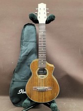 Mini guitarra acústica IBANEZ EWP14WB-OPN segunda mano  Embacar hacia Mexico