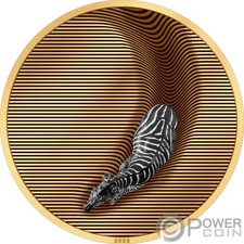 Moneta argento zebra usato  Ciampino