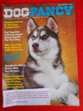 Rare siberian husky for sale  Ormond Beach