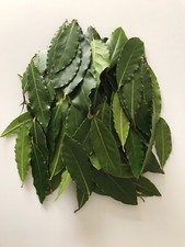 Bay leaves fresh for sale  LEICESTER