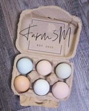 Easter egger rainbow for sale  Spencer