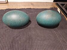 Emu hatching eggs for sale  SOUTHAMPTON