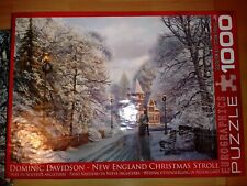 Puzzle 1000 d.davindson usato  Italia
