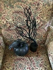 Black pumpkin raven for sale  Avella