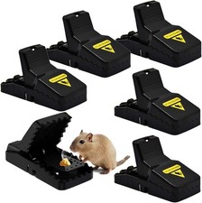 Mausefalle 6er set gebraucht kaufen  Lichtenfels