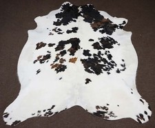 New white tricolor for sale  Plano
