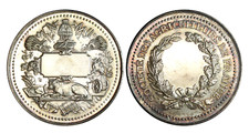 O911 c1900 medaglia usato  Torino