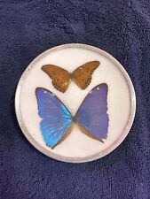 Vintage pressed blue for sale  Bountiful
