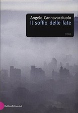 Cannavacciuolo angelo soffio usato  Fonte Nuova