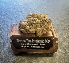 Coprolite fossil dinosaur for sale  Denver