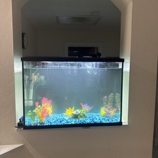 Gallon transparent glass for sale  Lehigh Acres