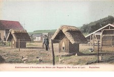 28. 59007.nogent roi.poulaille d'occasion  Expédié en Belgium