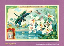 Chromo liebig fleurs d'occasion Chromo liebig fleurs d'occasion  Chaumont