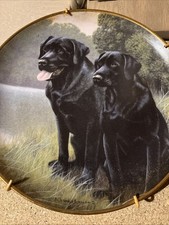 Nigel hemming sporting for sale  TUNBRIDGE WELLS