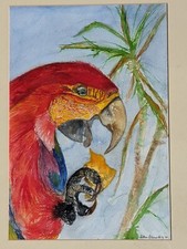 Original watercolour painting for sale  RUARDEAN