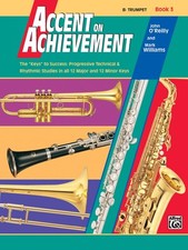 Accent achievement b for sale  Little Falls