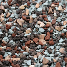 Volcanic rock plants. for sale  Denver