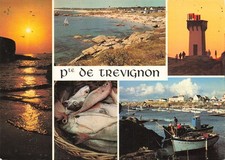 Pointe trevignon d'occasion  France