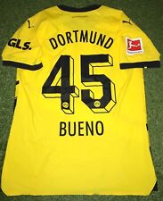 Bvb match prepared gebraucht kaufen  Ibbenbüren