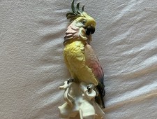 Karl ens oiseau d'occasion  Issoire