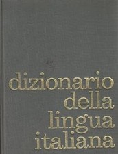 Dizionario della lingua usato  Italia