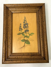 Arte floral vintage a bordo Veronica Teocrium Cratera Lago Azul Serra-Folhas Speedwell comprar usado  Enviando para Brazil