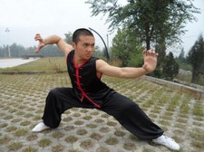 Silk kung tai d'occasion  Expédié en Belgium