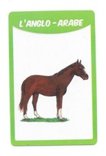 Carte races chevaux d'occasion  Nancy-