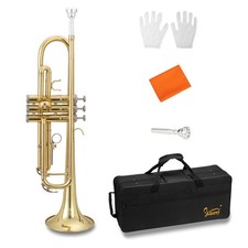 Glarry student concert for sale  Flanders