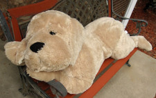 Jumbo yellow labrador for sale  Denver