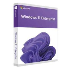 Windows enterprise ltsc usato  L Aquila