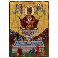 Madonna della fonte usato  Italia