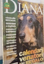 Diana 1999 caccia usato  Salerno