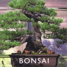 Bonsai chan peter for sale  Aurora