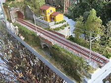 Diorama espositore plastico usato  Volterra