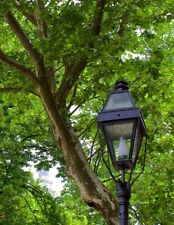 Colonial boston design for sale  Plymouth