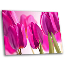 Framed canvas floral for sale  STRABANE