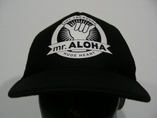 Mr. aloha tiny for sale  Hoquiam