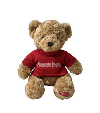 Fraser 2007 teddy for sale  BIRMINGHAM