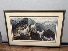 Framed signed ron for sale  Spring