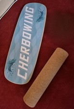 Balanceboard rolle gebraucht kaufen  Hamburg