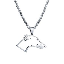 Stainless steel greyhound for sale  Hebron